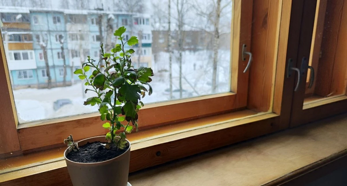 Dom jak z bajki zimą? Wystarczy jedna łyżka tego, co masz w łazience