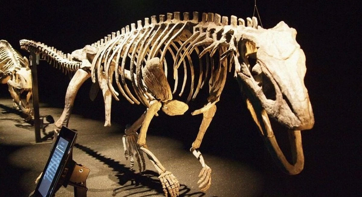 Zaskakujące odkrycie w Arizonie: Jak krokodyl sprzed milionów lat przypominał dinozaury z "Parku Jurajskiego"