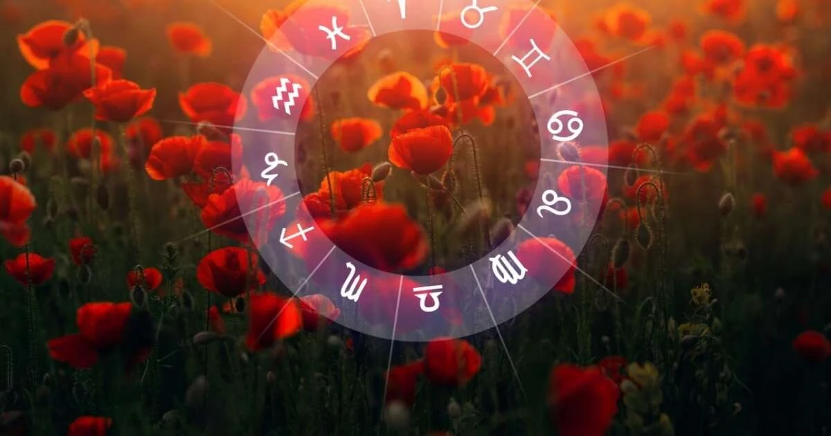 Przewodnik po dniu: kluczowe prognozy dla 12 znaków zodiaku na 31.01.2026