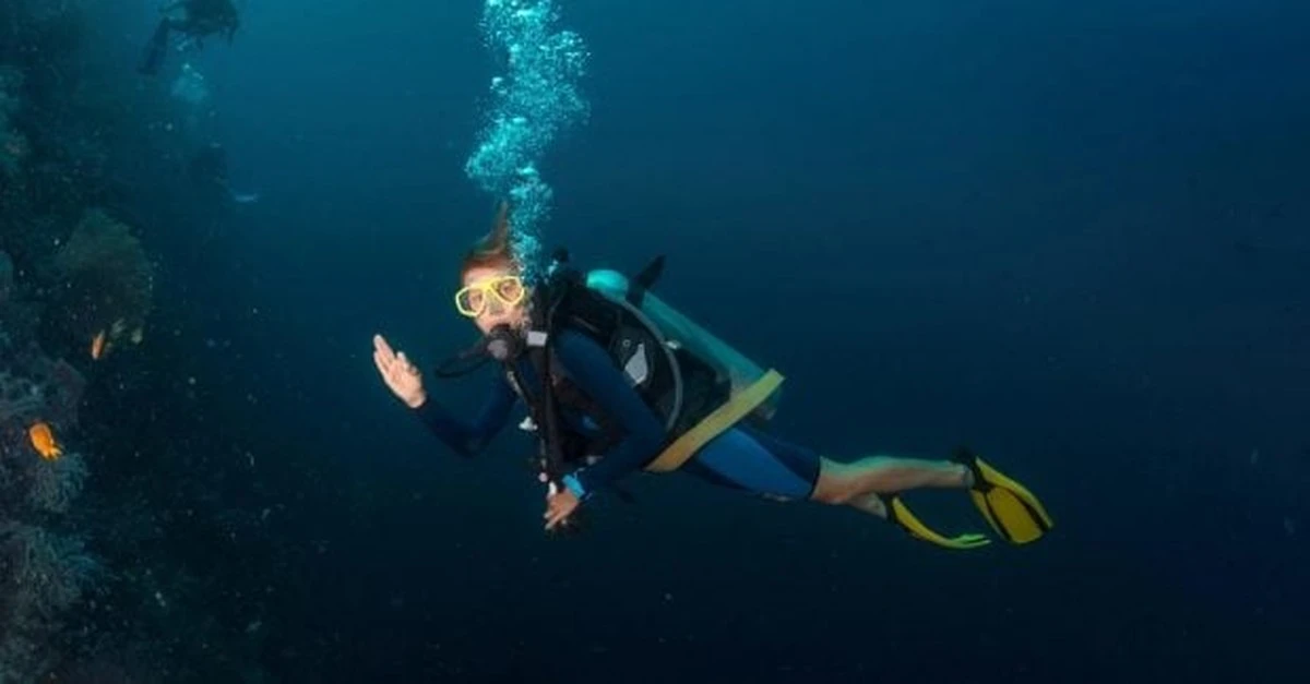 Dziwne stworzenia z mackami wokół pyska: ocean kryje niespodzianki