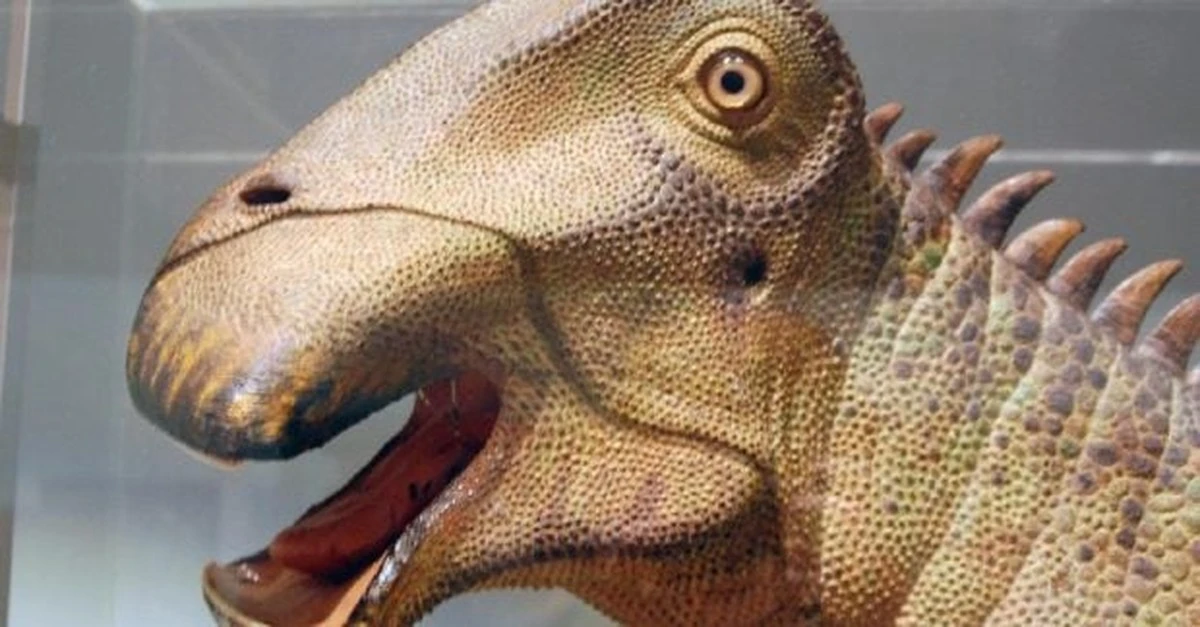 Ten dinozaur kosił trawę jak kosiarka: Niezwykłe odkrycie biologa