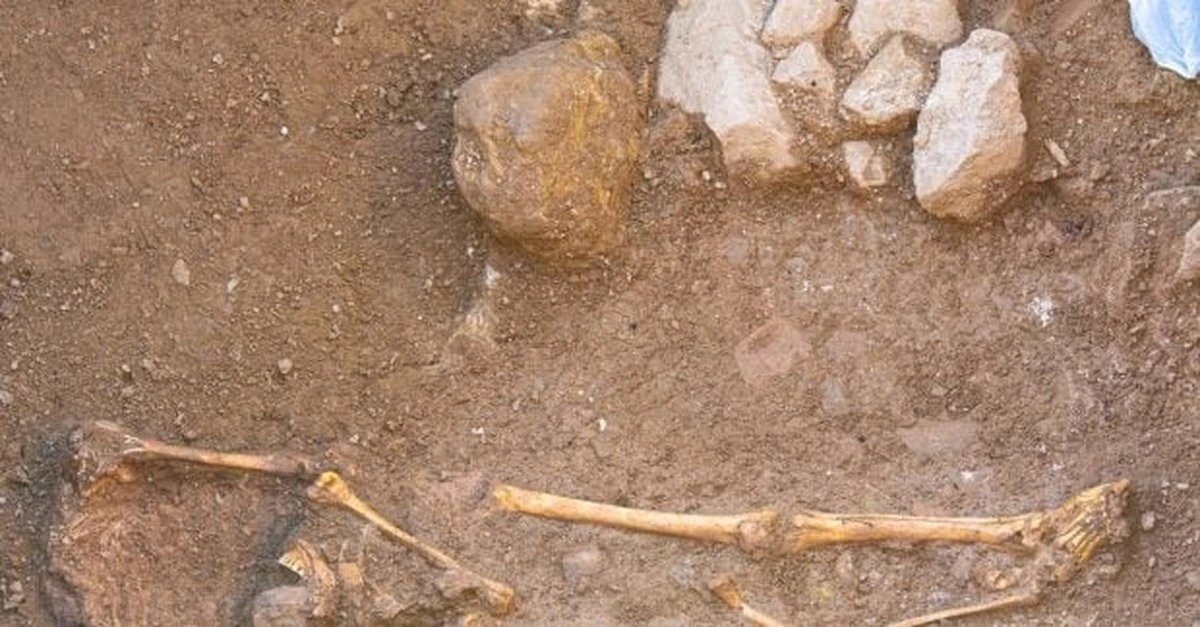 Czy ludzkość była o krok od zagłady? Biolog ujawnia tajemnice kryzysu 900 tys. lat temu