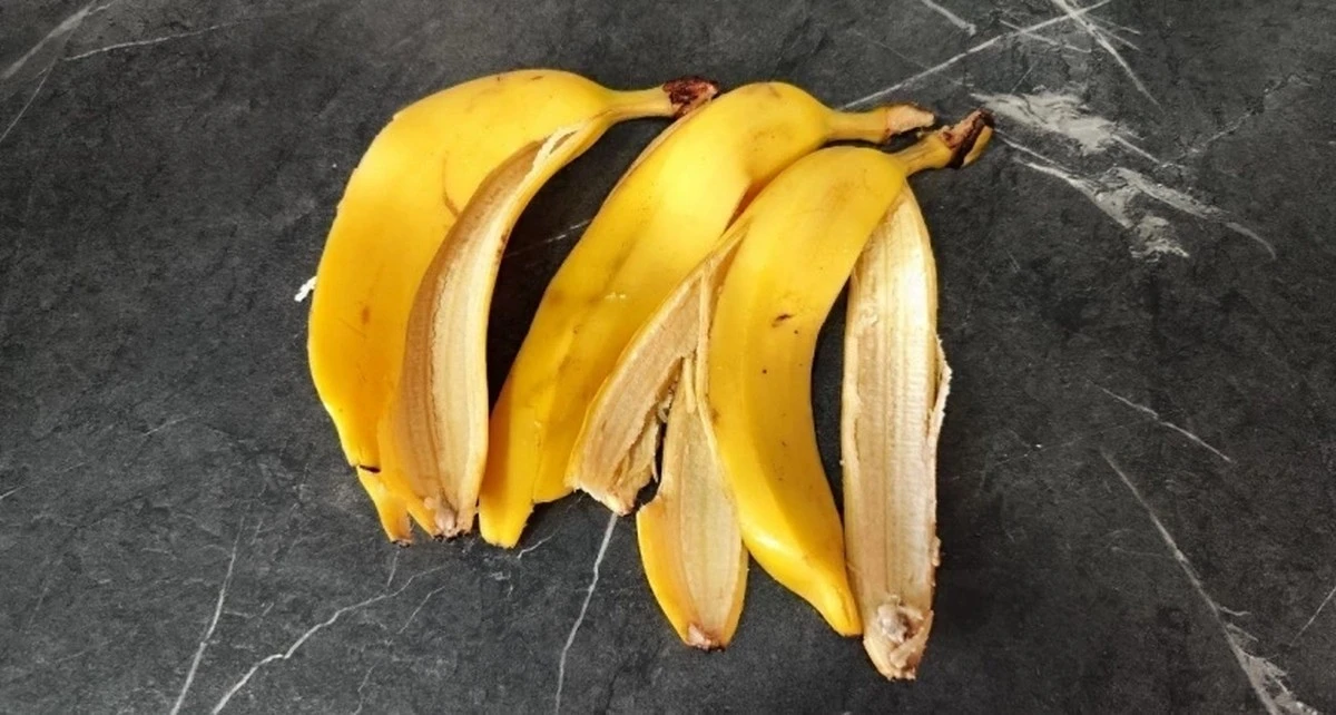 Zimowe triki z obierek bananów i soli: sekret ekologicznej ściółki i ochrony roślin