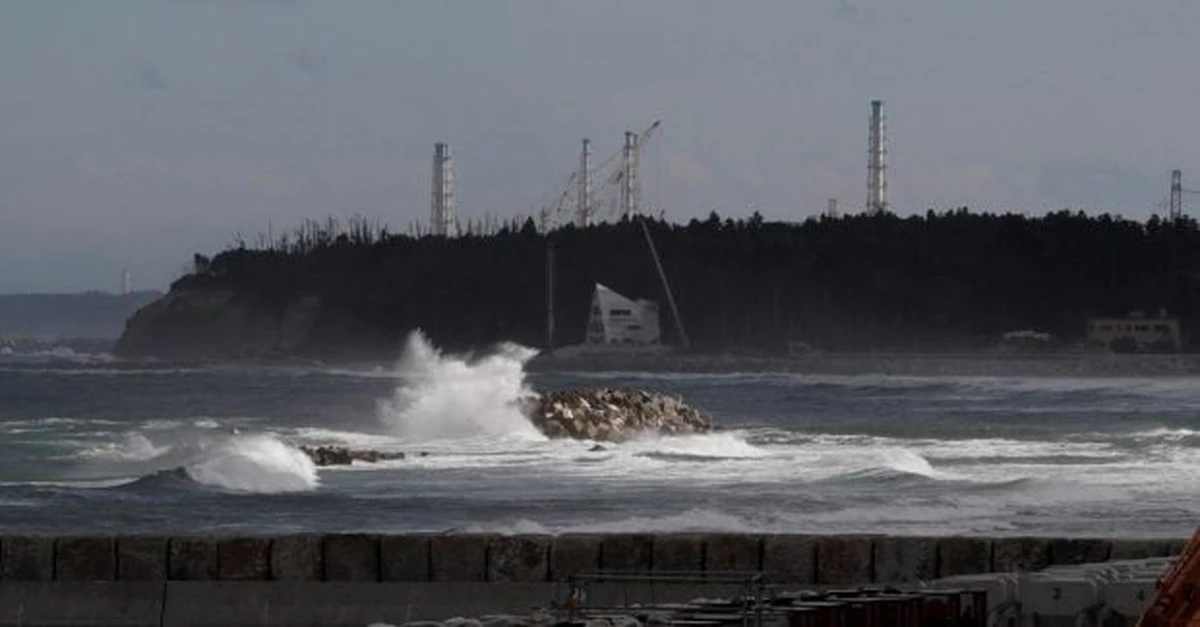 Niezwykłe życie pod reaktorem w Fukushimie: Bakterie, których tam nie powinno być