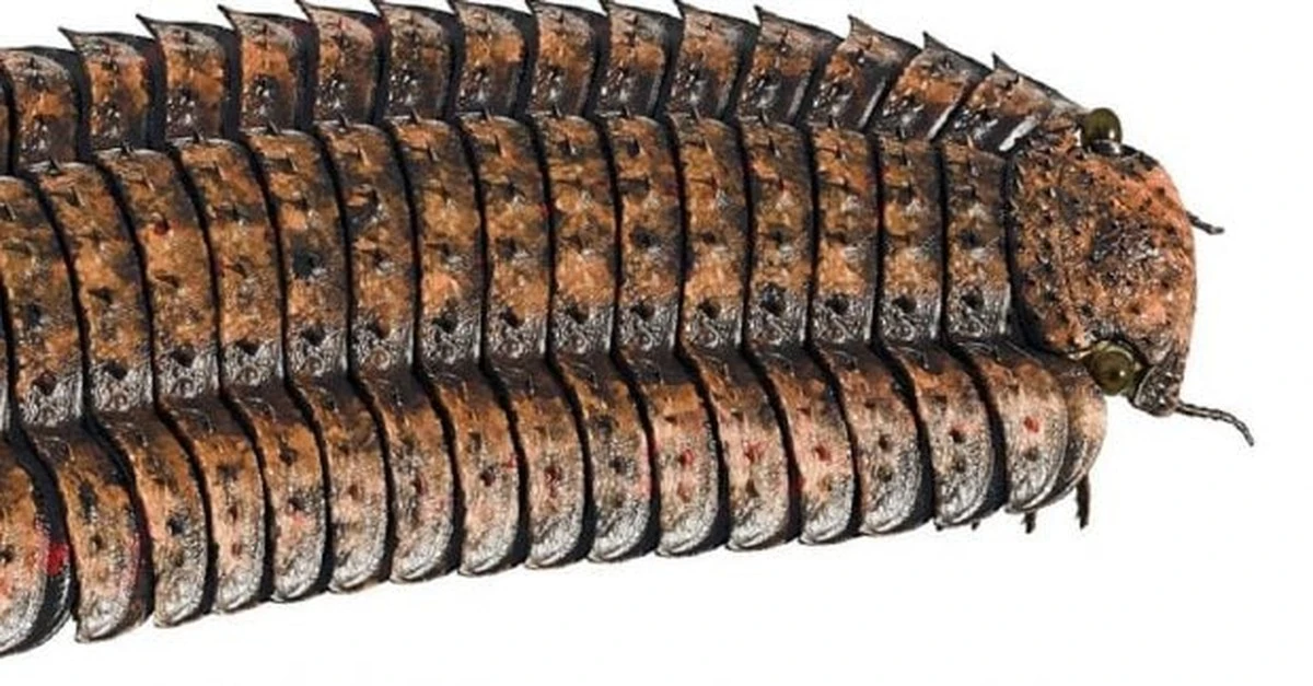 Wielka Arthropleura: Jak żyła gigantyczna stonoga, która dominowała na Ziemi?