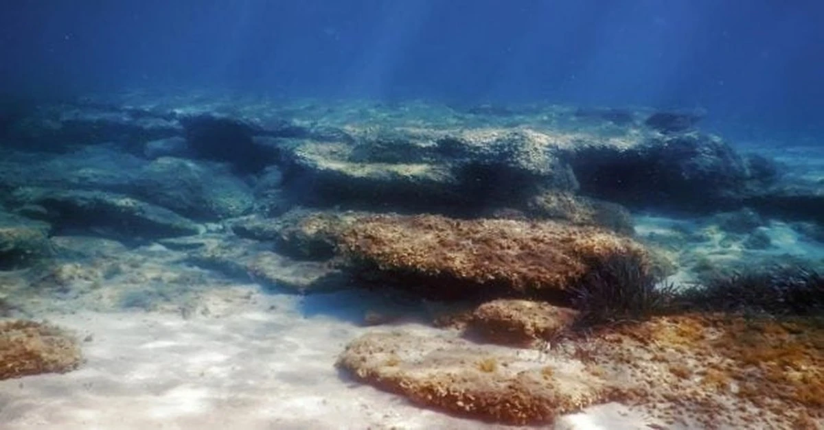 Naukowcy przez 10 lat badali dno oceanu. To, co odkryli, wywołało falę niepokoju.