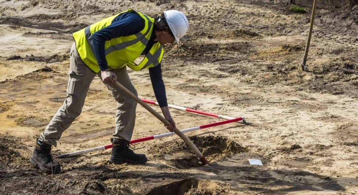Budowlańcy natrafili na kości giganta: nowy gatunek dinozaura odkryty w Chinach