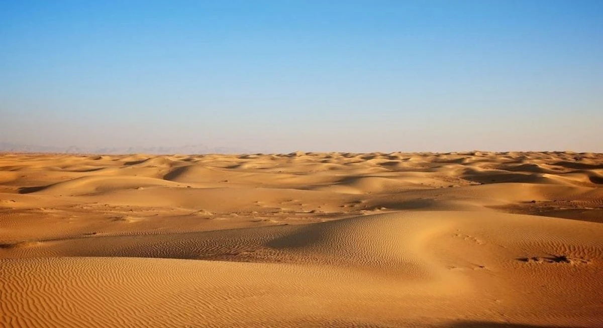 Sahara: 8 tysięcy lat temu była zielona i deszczowa. Naukowcy odkryli dowód w stalaktytach