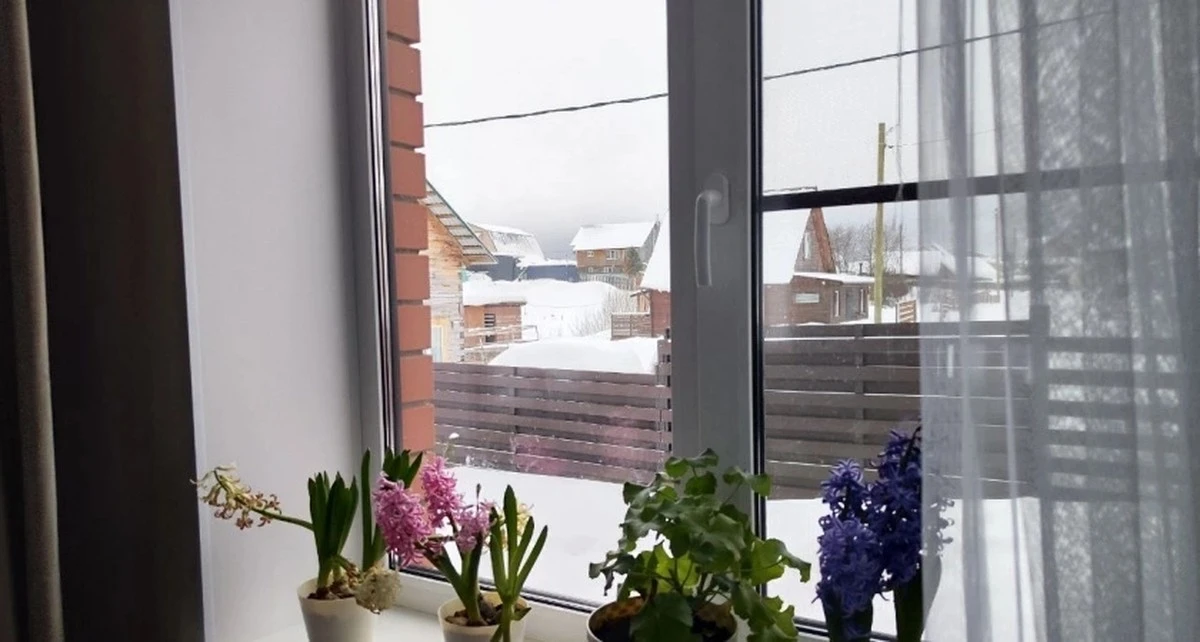 Prosty dodatek na parapecie blokuje przeciągi i wypełnia dom zapachem lasu