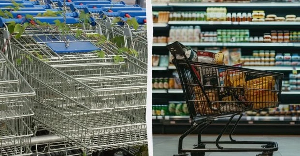 Paradoks wózka sklepowego: Wygoda kontra charakter. Prosty test uczciwości
