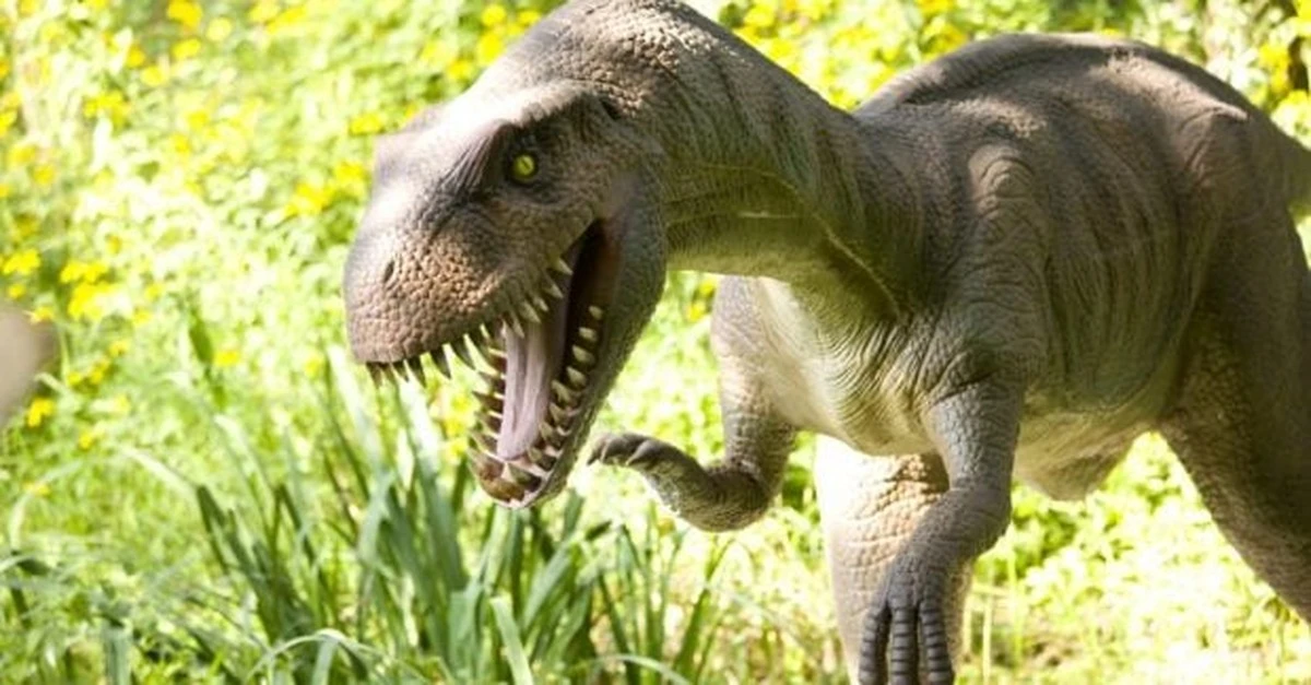 Prędkość dinozaurów była rewolucyjna. Nowe ślady w Mongolii pokazują, jak szybko biegli