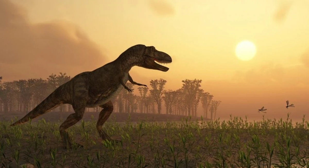 Mapa gigantycznych śladów zapiera dech: Australia skrywa kolejną zagadkę dinozaurów